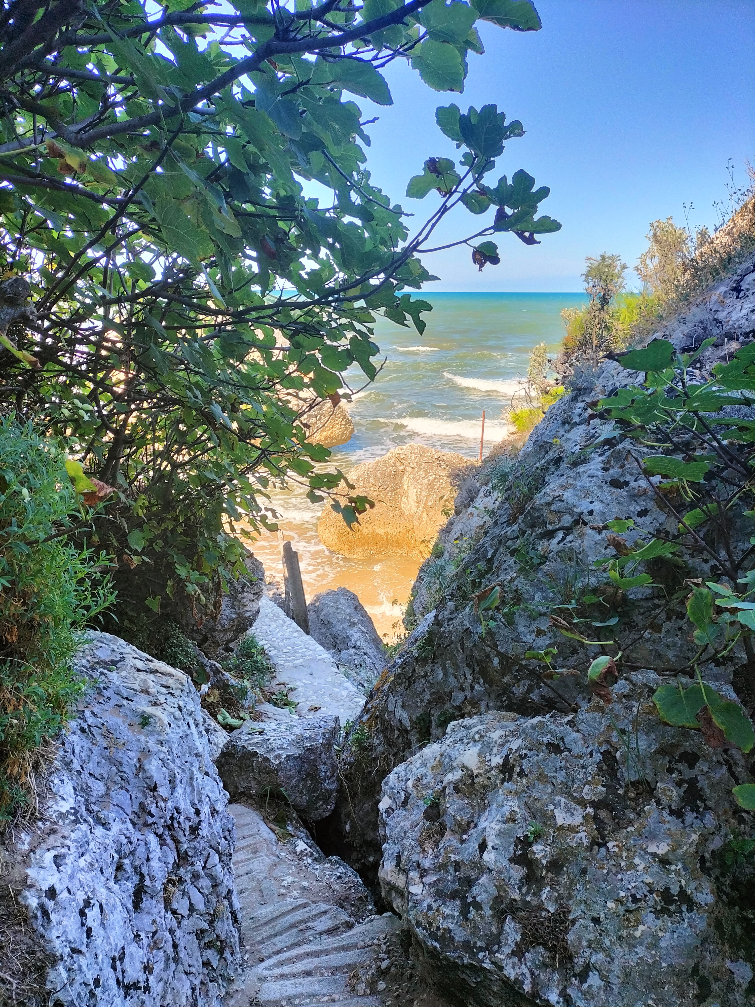 Gargano Vacanza Panoramica